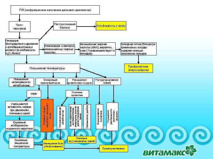 FIR (инфракрасное излучение дальнего диапазона) Реструктизация белков Тело человека Генерация беспорядочного движения и колебания