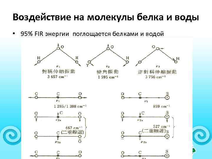 Воздействие на молекулы белка и воды • 95% FIR энергии поглощается белками и водой