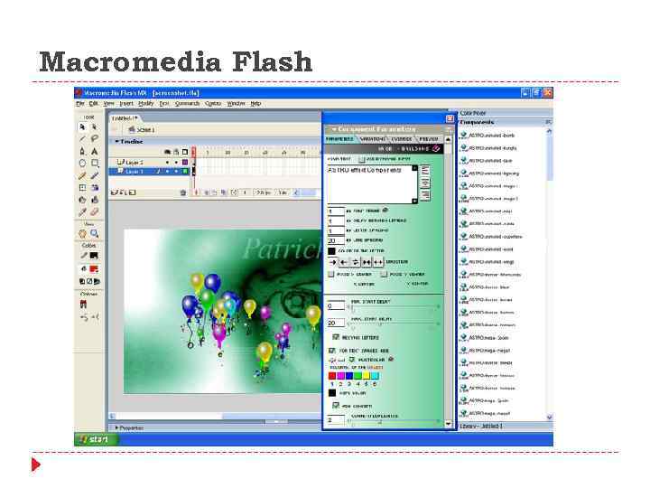 Macromedia Flash 