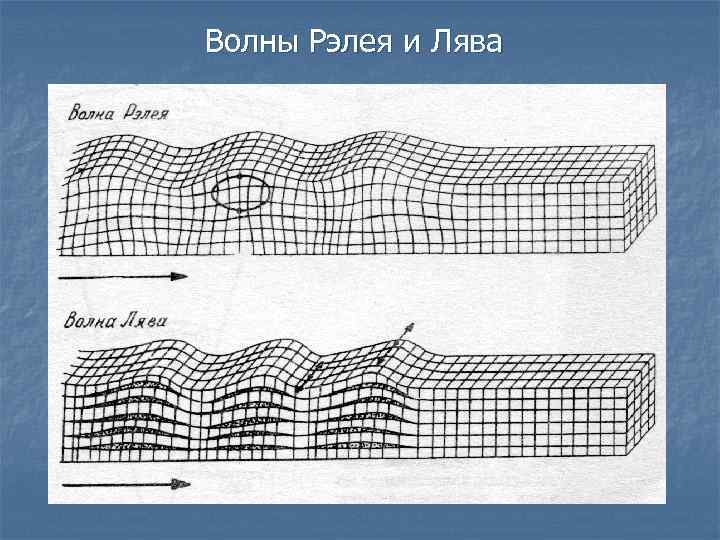 Волны Рэлея и Лява 