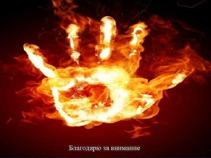 Благодарю за внимание 