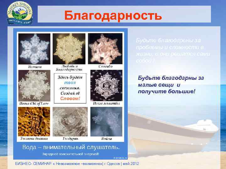 Благодарность Будьте благодарены за проблемы и сложности в жизни, и они решатся сами собой