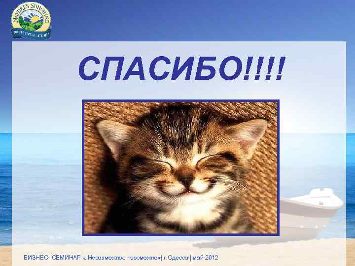 СПАСИБО!!!! БИЗНЕС- СЕМИНАР « Невозможное –возможно» | г. Одесса | май 2012 