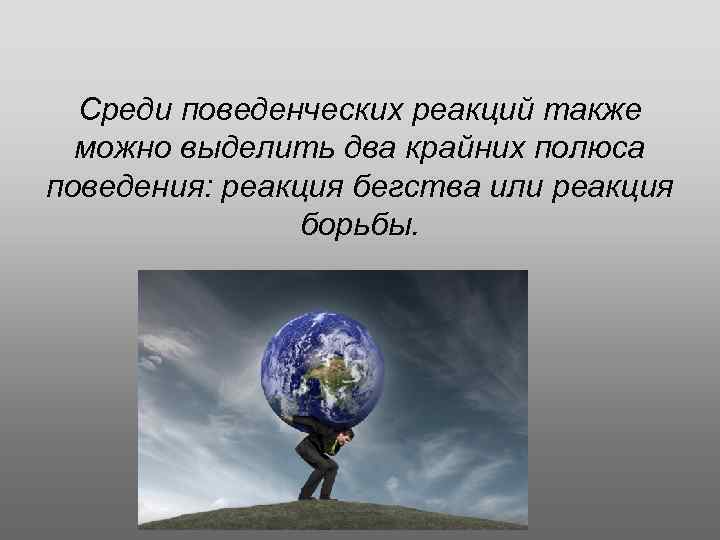 Среди поведенческих реакций также можно выделить два крайних полюса поведения: реакция бегства или реакция