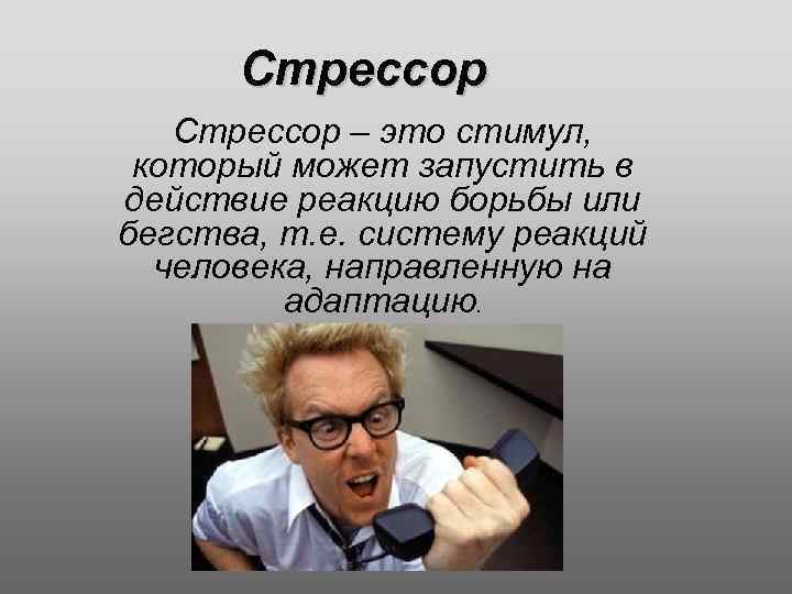 Стрессор – это стимул, который может запустить в действие реакцию борьбы или бегства, т.