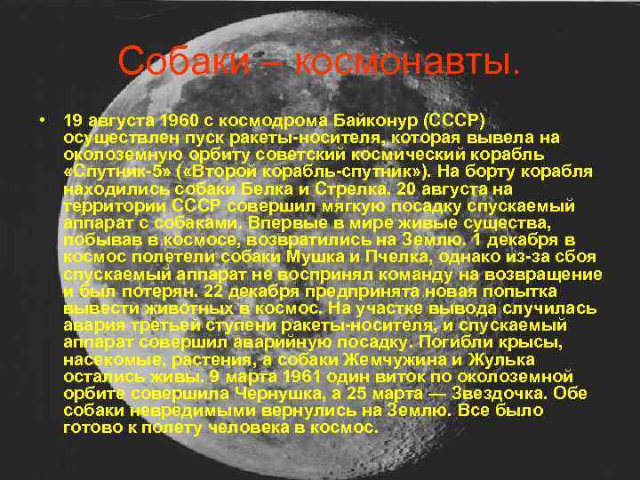 Собаки – космонавты. • 19 августа 1960 с космодрома Байконур (СССР) осуществлен пуск ракеты-носителя,