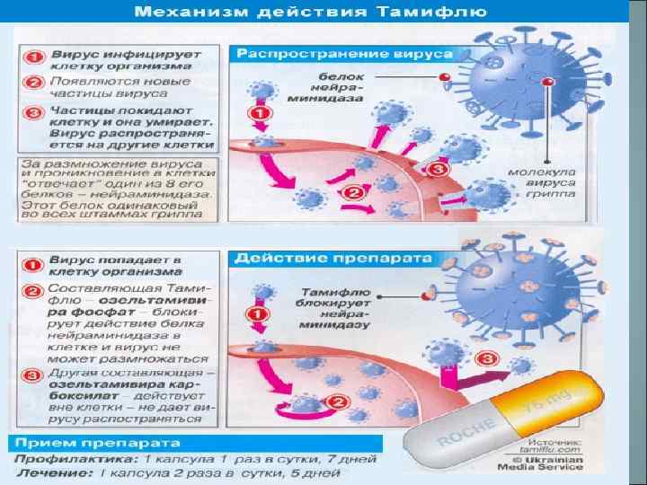 Вирусные инфекции картинки