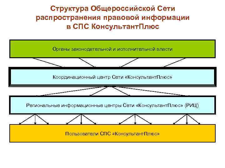 Структура Общероссийской Сети распространения правовой информации в СПС Консультант. Плюс Органы законодательной и исполнительной