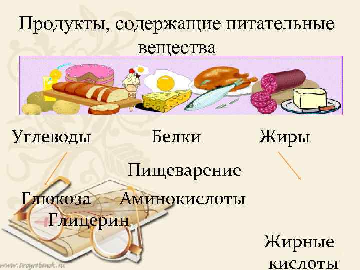 Жиры и углеводы содержатся