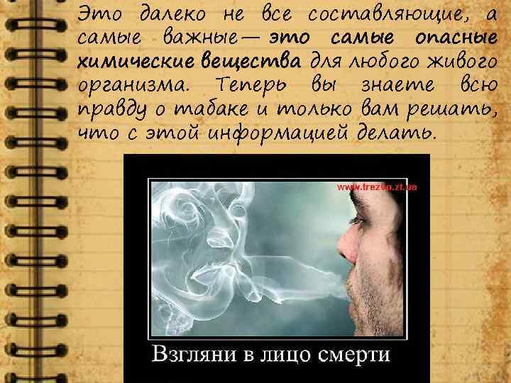 Это далеко не все составляющие, а самые важные— это самые опасные химические вещества для