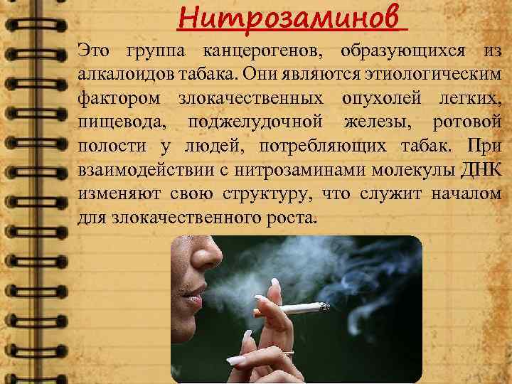 Нитрозаминов Это группа канцерогенов, образующихся из алкалоидов табака. Они являются этиологическим фактором злокачественных опухолей