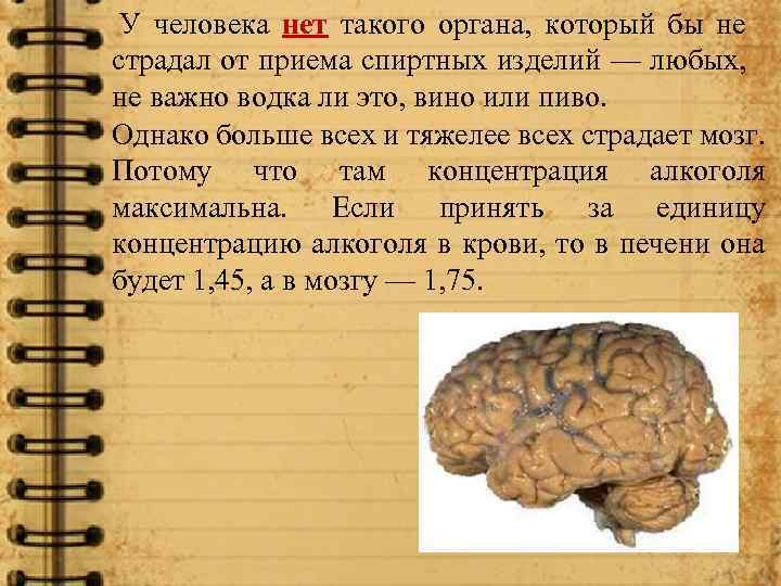  У человека нет такого органа, который бы не страдал от приема спиртных изделий