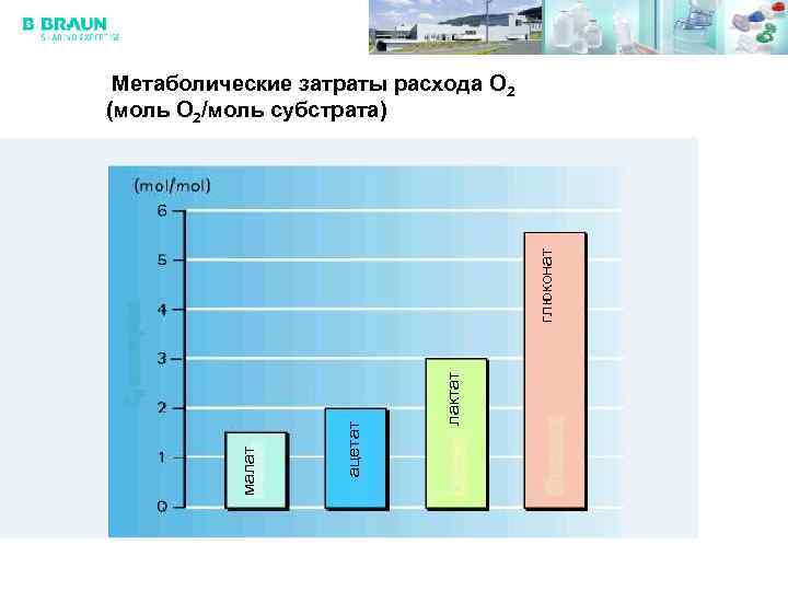 лактат ацетат малат глюконат Метаболические затраты расхода O 2 (моль O 2/моль субстрата) 