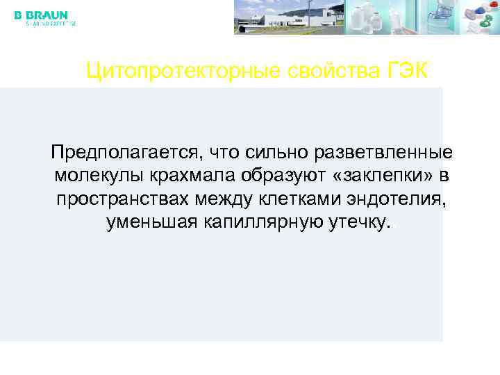 Цитопротекторные свойства ГЭК Предполагается, что сильно разветвленные молекулы крахмала образуют «заклепки» в пространствах между