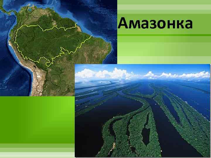 Амазонка 