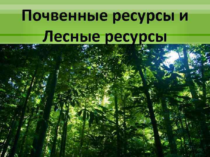 Почвенные ресурсы и Лесные ресурсы 