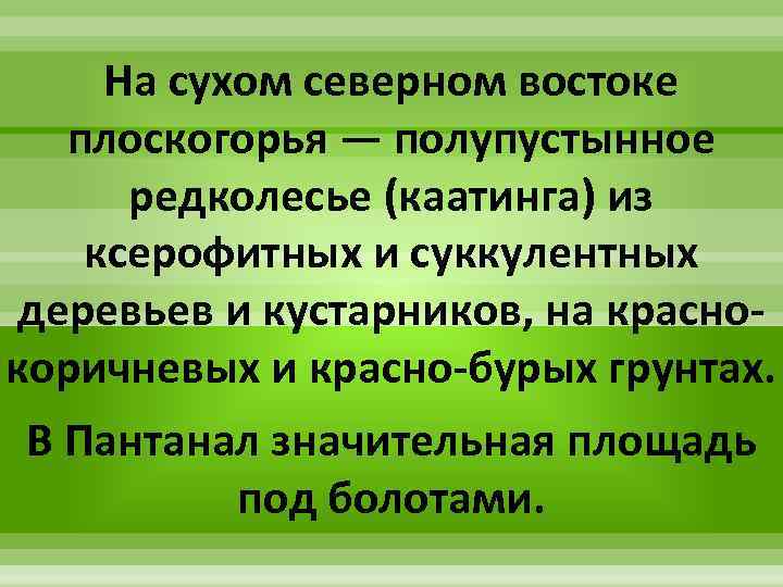 На сухом северном востоке плоскогорья — полупустынное редколесье (каатинга) из ксерофитных и суккулентных деревьев