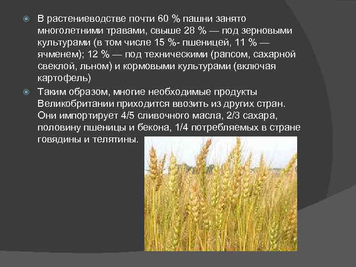В растениеводстве почти 60 % пашни занято многолетними травами, свыше 28 % — под