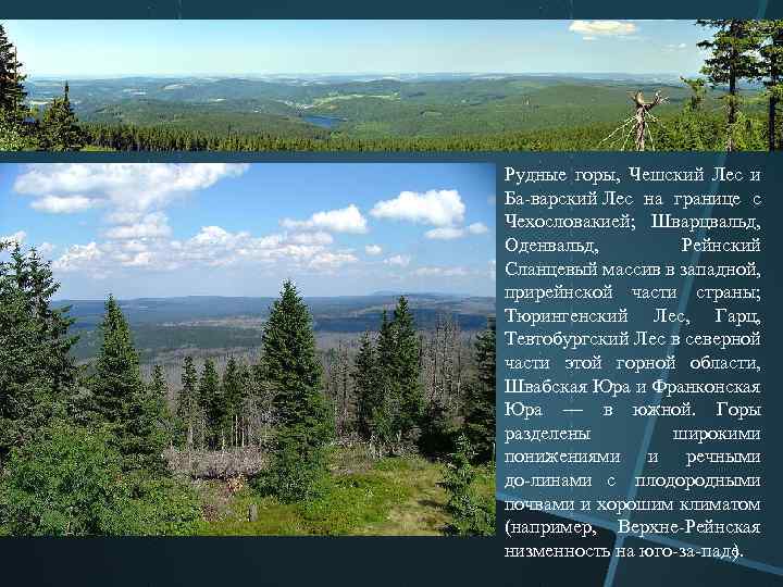 Рудные горы, Чешский Лес и Ба варский Лес на границе с Чехословакией; Шварцвальд, Оденвальд,