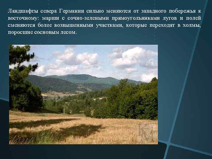 Ландшафты севера Германии сильно меняются от западного побережья к восточному: марши с сочно зелеными