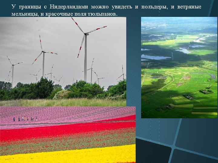 У границы с Нидерландами можно увидеть и польдеры, и ветряные мельницы, и красочные поля