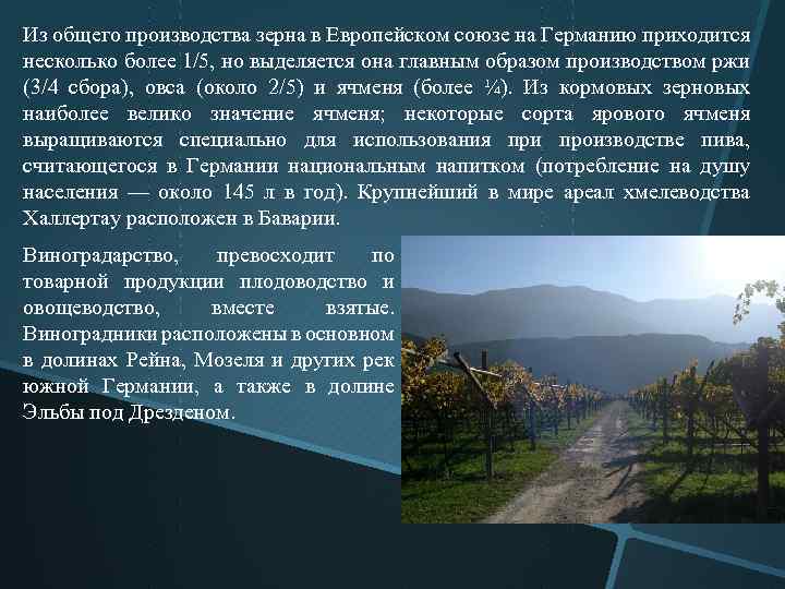 Из общего производства зерна в Европейском союзе на Германию приходится несколько более 1/5, но
