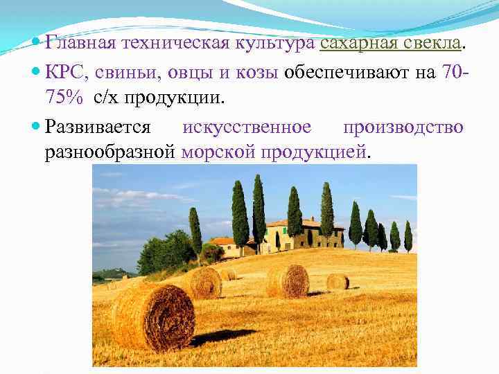  Главная техническая культура сахарная свекла. КРС, свиньи, овцы и козы обеспечивают на 7075%