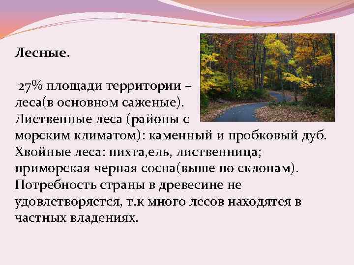 Лесные. 27% площади территории – леса(в основном саженые). Лиственные леса (районы с морским климатом):