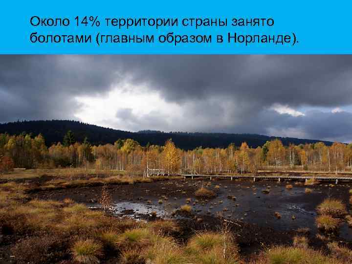 Около 14% территории страны занято болотами (главным образом в Норланде). 