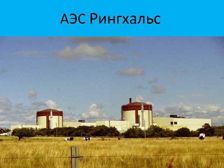 АЭС Рингхальс 
