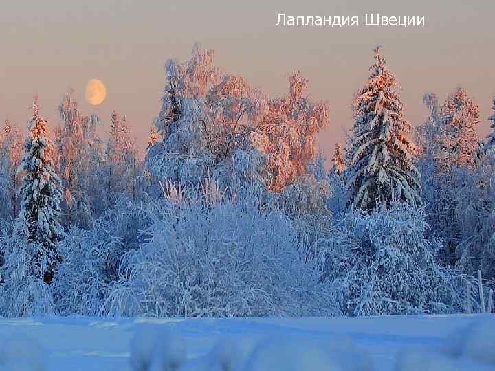 Лапландия Швеции 