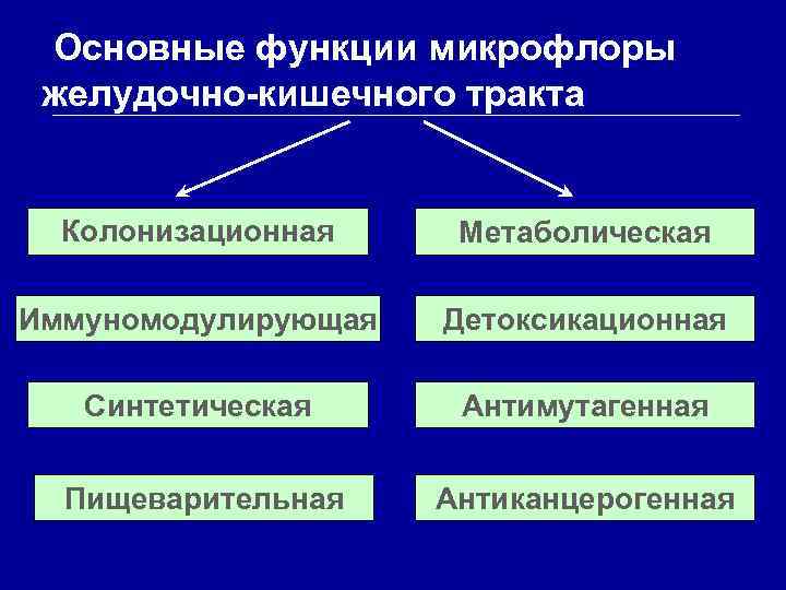 Основные функции микрофлоры желудочно-кишечного тракта Колонизационная Метаболическая Иммуномодулирующая Детоксикационная Синтетическая Антимутагенная Пищеварительная Антиканцерогенная 