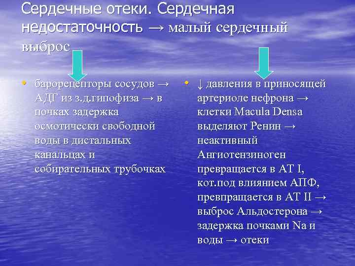 Сердечные отеки. Сердечная недостаточность → малый сердечный выброс • барорецепторы сосудов → • ↓