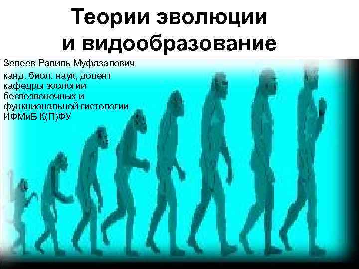 Теории эволюции и видообразование Зелеев Равиль Муфазалович канд. биол. наук, доцент кафедры зоологии беспозвоночных