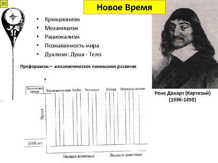 20 Новое Время • • • Креационизм Механицизм Рационализм Познаваемость мира Дуализм: Душа -