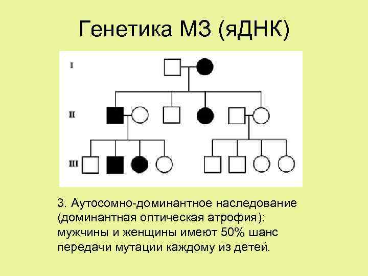 Генетика МЗ (я. ДНК) 3. Аутосомно-доминантное наследование (доминантная оптическая атрофия): мужчины и женщины имеют