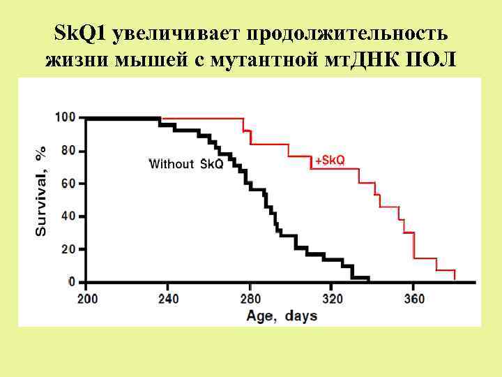 Днк пол. Продолжительность жизни мыши. Продолжительность жизни мышки. Вещества увеличившие Продолжительность жизни.