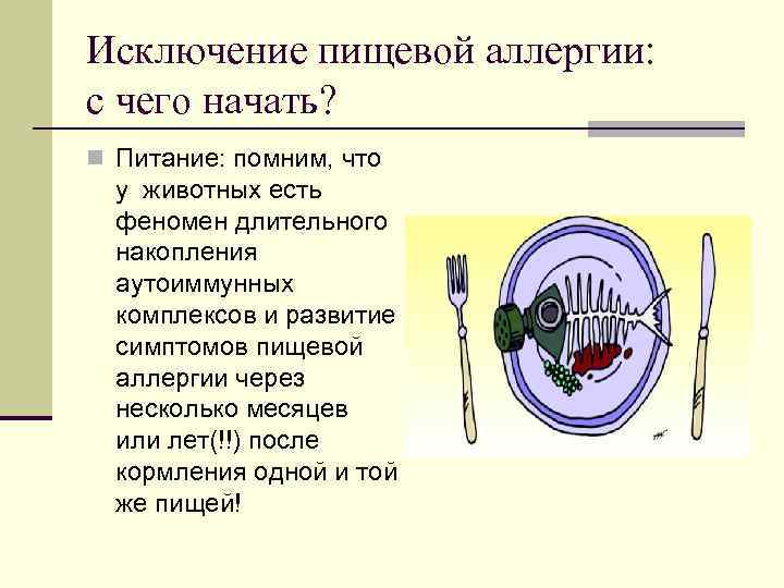 Исключение пищевой аллергии: с чего начать? n Питание: помним, что у животных есть феномен