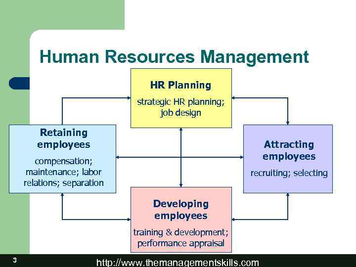 Human Resource Management 1 http www themanagementskills com