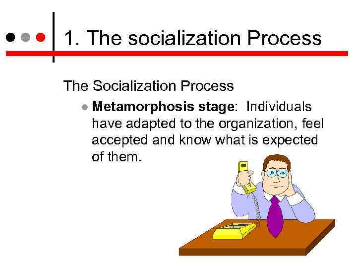 1. The socialization Process The Socialization Process Metamorphosis stage: Individuals have adapted to the