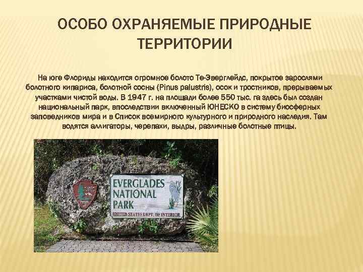 ОСОБО ОХРАНЯЕМЫЕ ПРИРОДНЫЕ ТЕРРИТОРИИ На юге Флориды находится огромное болото Те-Эверглейдс, покрытое зарослями болотного