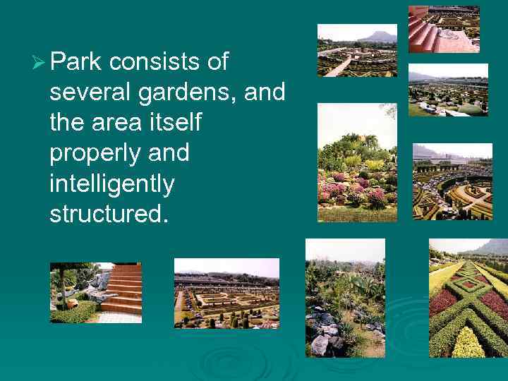 Ø Park consists of several gardens, and the area itself properly and intelligently structured.