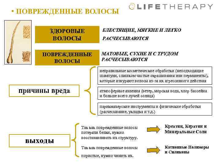  • ПОВРЕЖДЕННЫЕ ВОЛОСЫ ЗДОРОВЫЕ ВОЛОСЫ ПОВРЕЖДЕННЫЕ ВОЛОСЫ БЛЕСТЯЩИЕ, МЯГКИЕ И ЛЕГКО РАСЧЕСЫВАЮТСЯ МАТОВЫЕ,