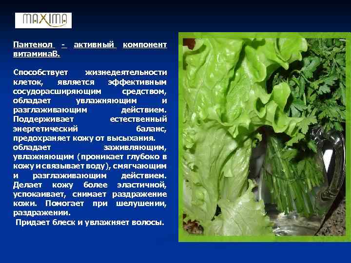 Пантенол - активный компонент витамина. В. Способствует жизнедеятельности клеток, является эффективным сосудорасширяющим средством, обладает