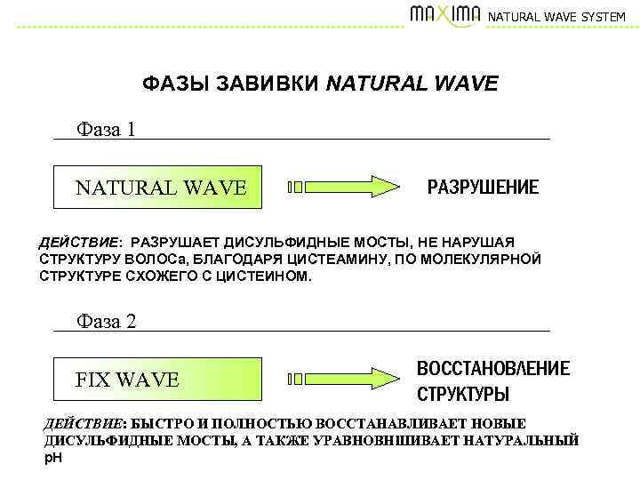 NATURAL WAVE SYSTEM ФАЗЫ ЗАВИВКИ NATURAL WAVE Фаза 1 NATURAL WAVE РАЗРУШЕНИЕ ДЕЙСТВИЕ: РАЗРУШАЕТ