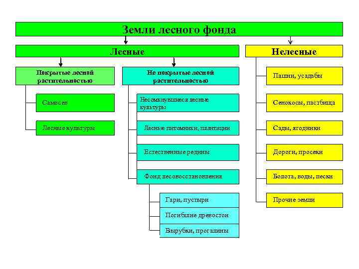 Лесопожарное зонирование земель лесного фонда