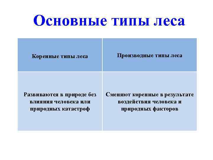 Основные типы леса Коренные типы леса Производные типы леса Развиваются в природе без влияния