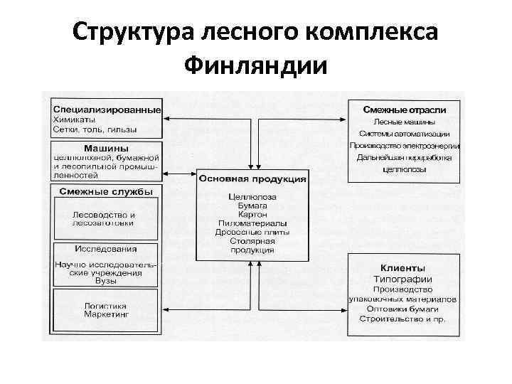 Структура лесного комплекса Финляндии 