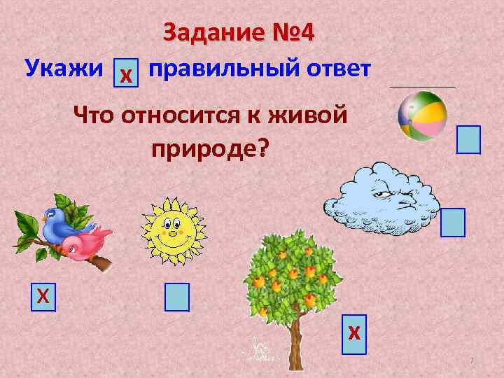 Что относится к природе 1 класс. Что относится к живой природе. Укажи что относится к живой природе. Что относится к живой природе ответ. Что не относится к живой природе.