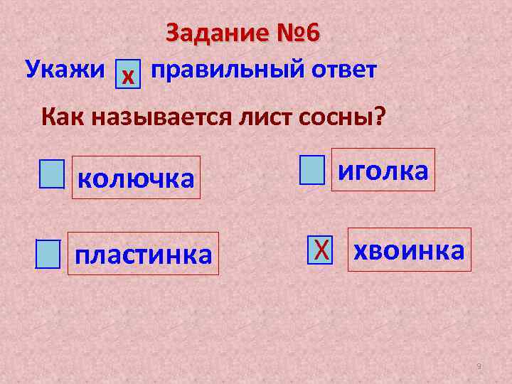 Как называется страница. Укажите как называется страница презентаций.